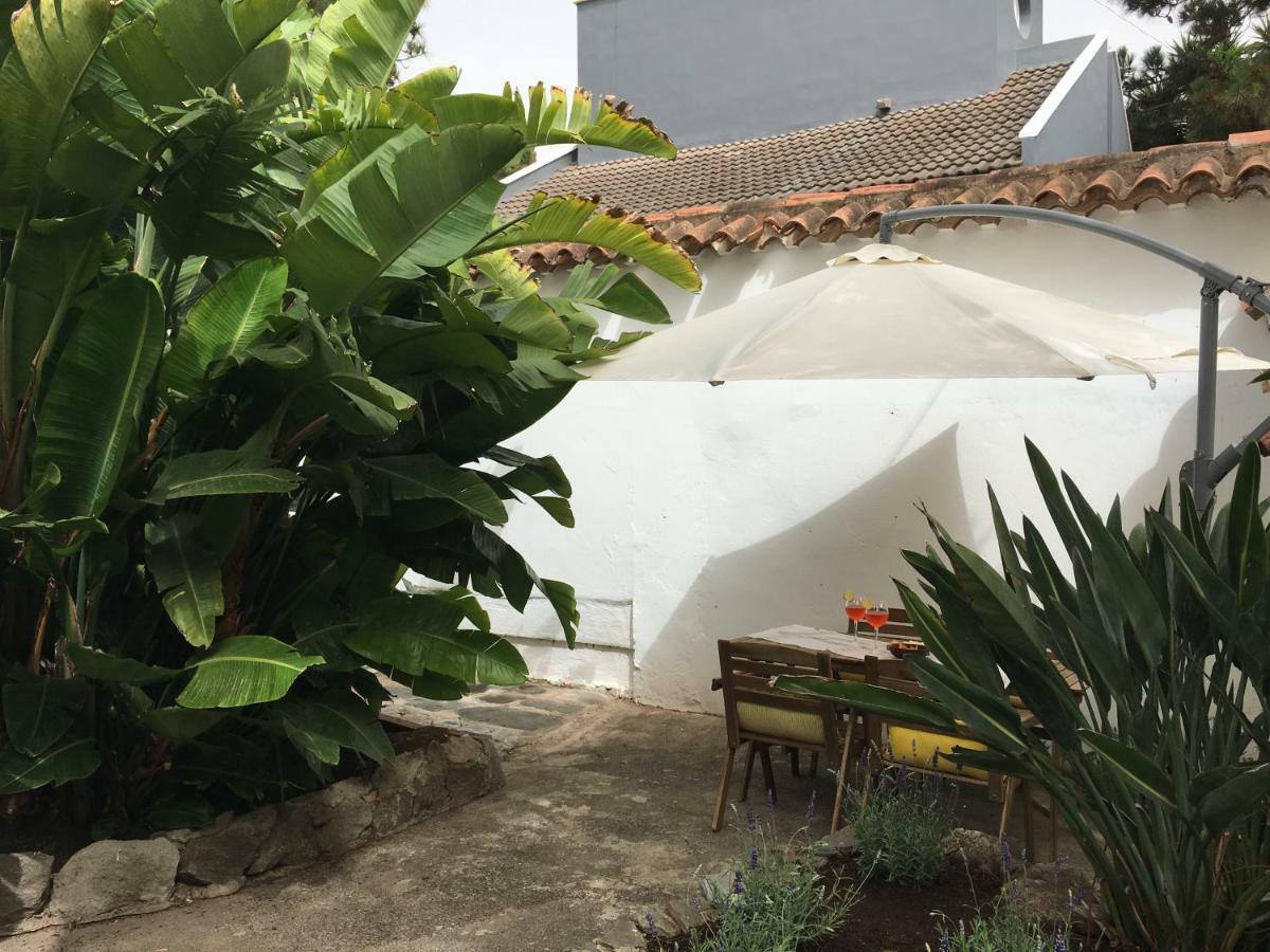 La Casita De Las Palmas Vv Ngoại thất bức ảnh